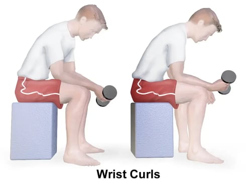 1024px-Exercise_Wrist_Curls (1)