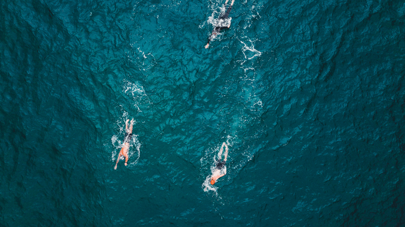 Swimming with a buddy 