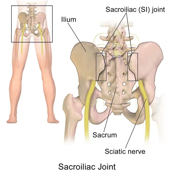 600px-Sacroiliac_Joint