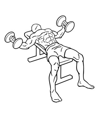 Dumbbell Fly Start Point