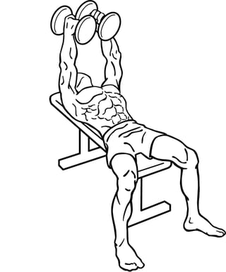 Dumbbell Fly end point