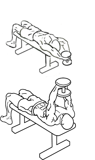 Dumbell Pullover