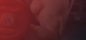 How to sculpt well-defined arms - Blog banner image