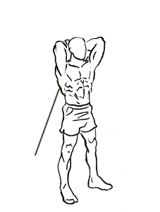 Standing-triceps-extension-1