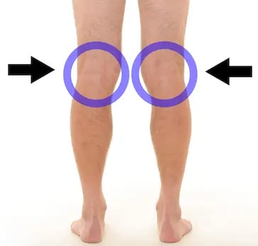 back of knee