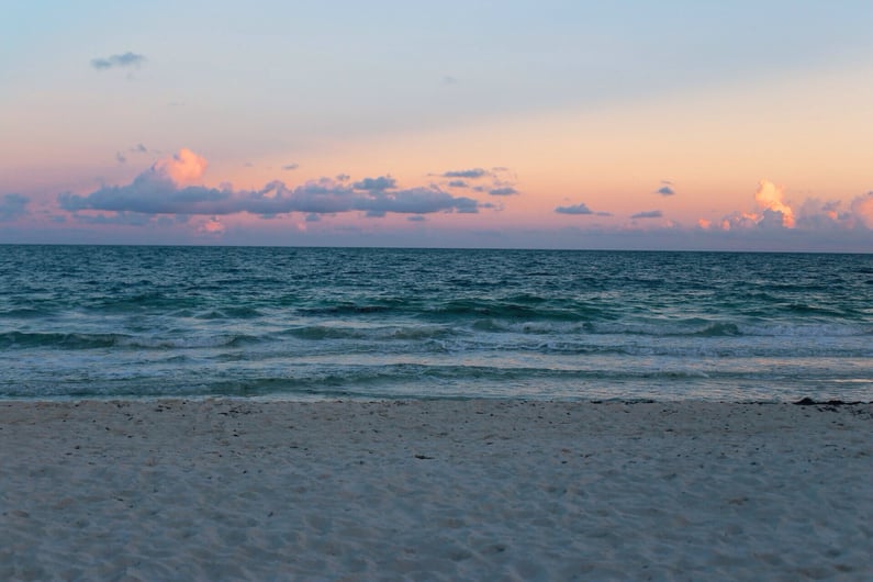 Open Water Swimming 