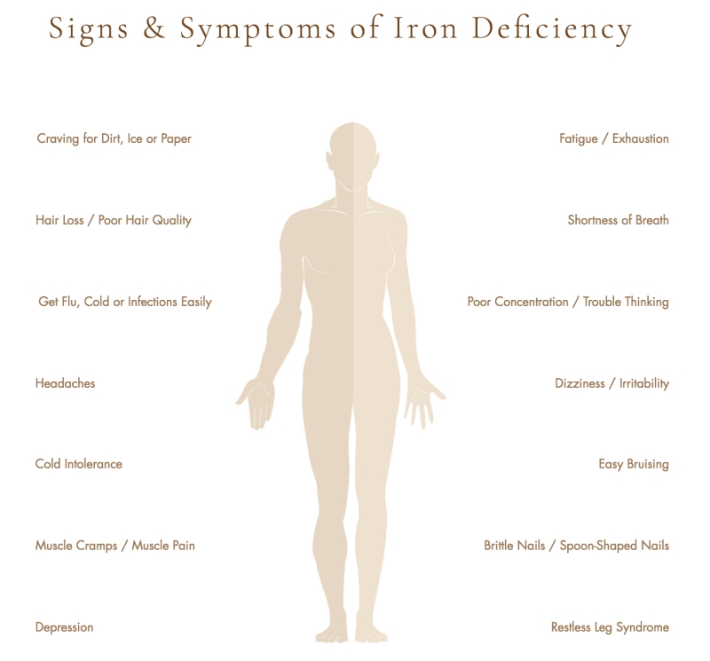 Source: The Iron Suites